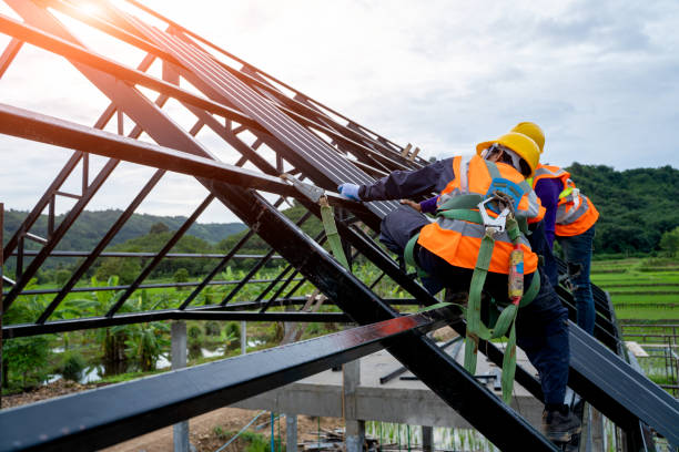 Best Roof Gutter Cleaning  in Fort Thompson, SD
