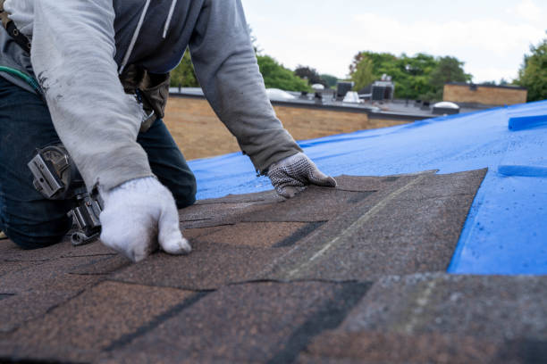 Best Residential Roofing Contractor  in Fort Thompson, SD