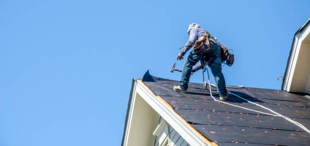 Best Roof Leak Repair  in Fort Thompson, SD